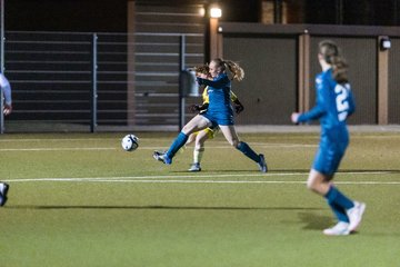Bild 101 - F SC Alstertal-Langenhorn - Hamburger SV 3 : Ergebnis: 2:2